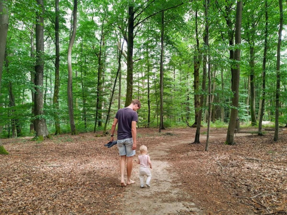 Nice Tent Lodge On A Campsite, Bordering The Forest, Luxembourg At 27 Km Medernach エクステリア 写真