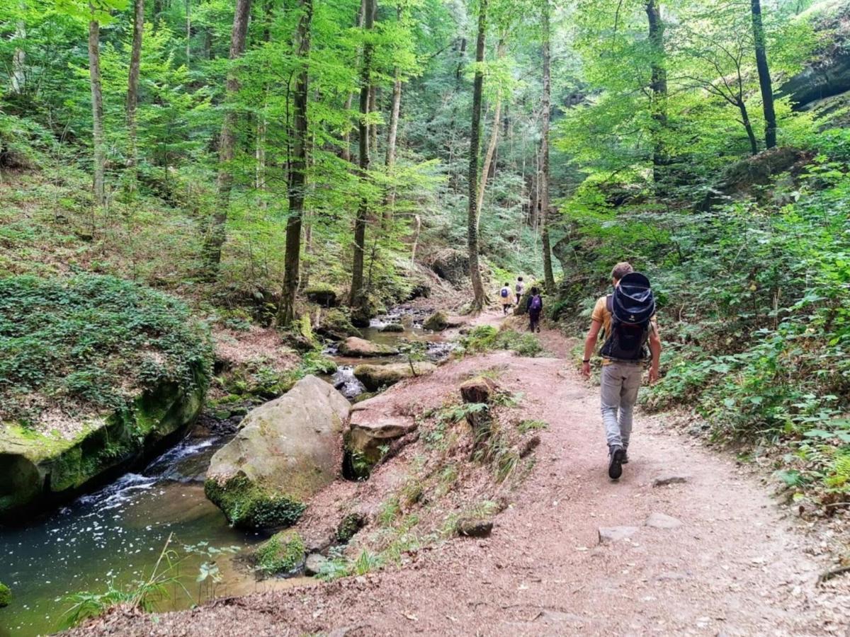 Nice Tent Lodge On A Campsite, Bordering The Forest, Luxembourg At 27 Km Medernach エクステリア 写真